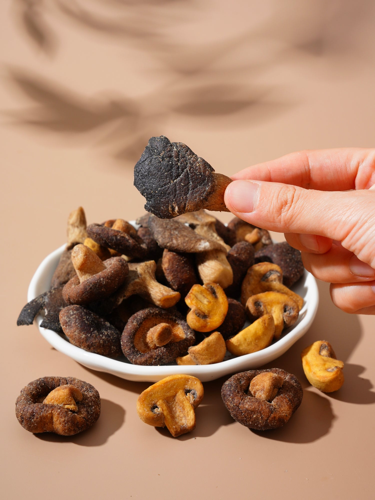 Shary Truffle Flavor Mixed Mushroom