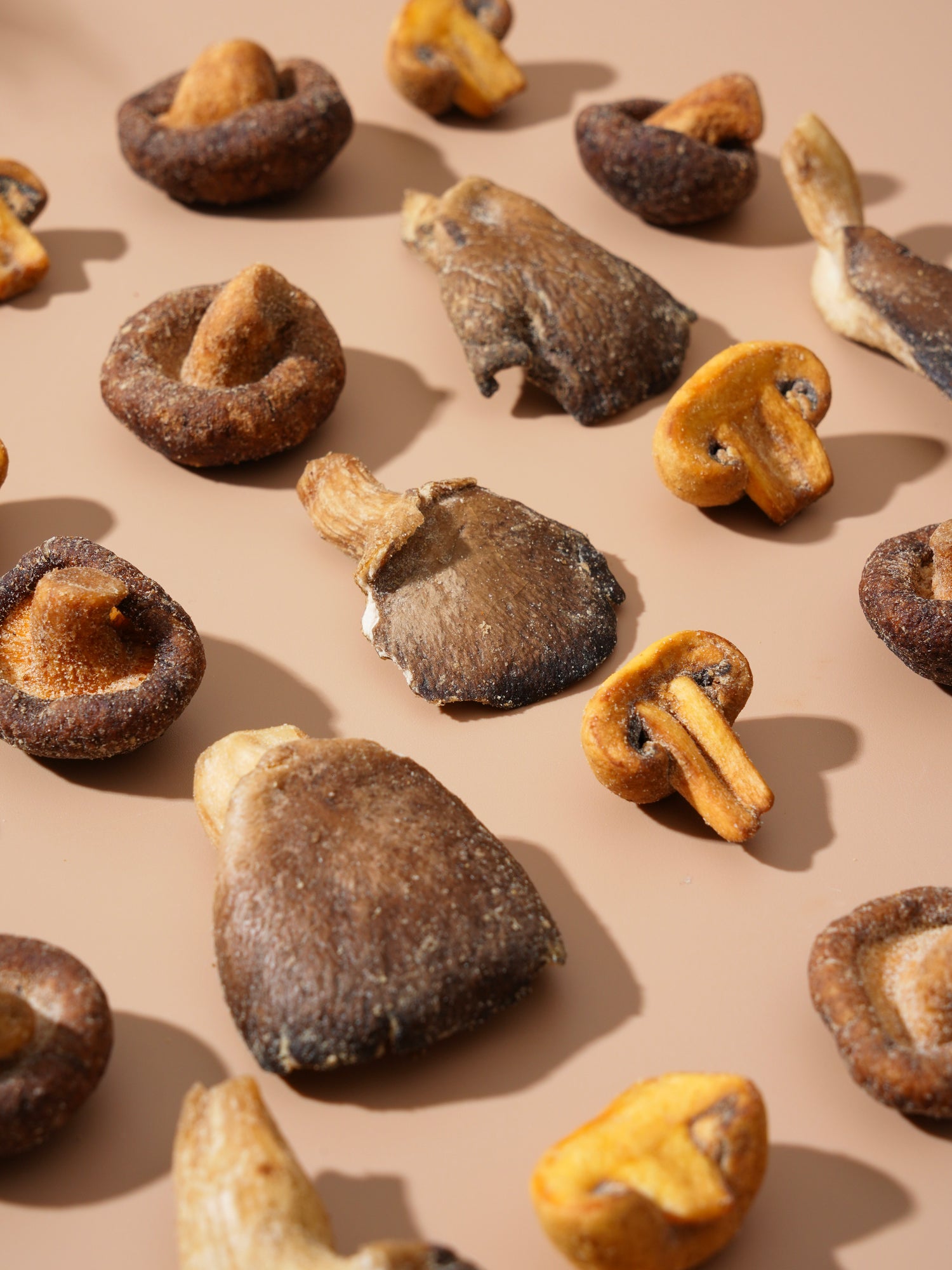 Shary Truffle Flavor Mixed Mushroom