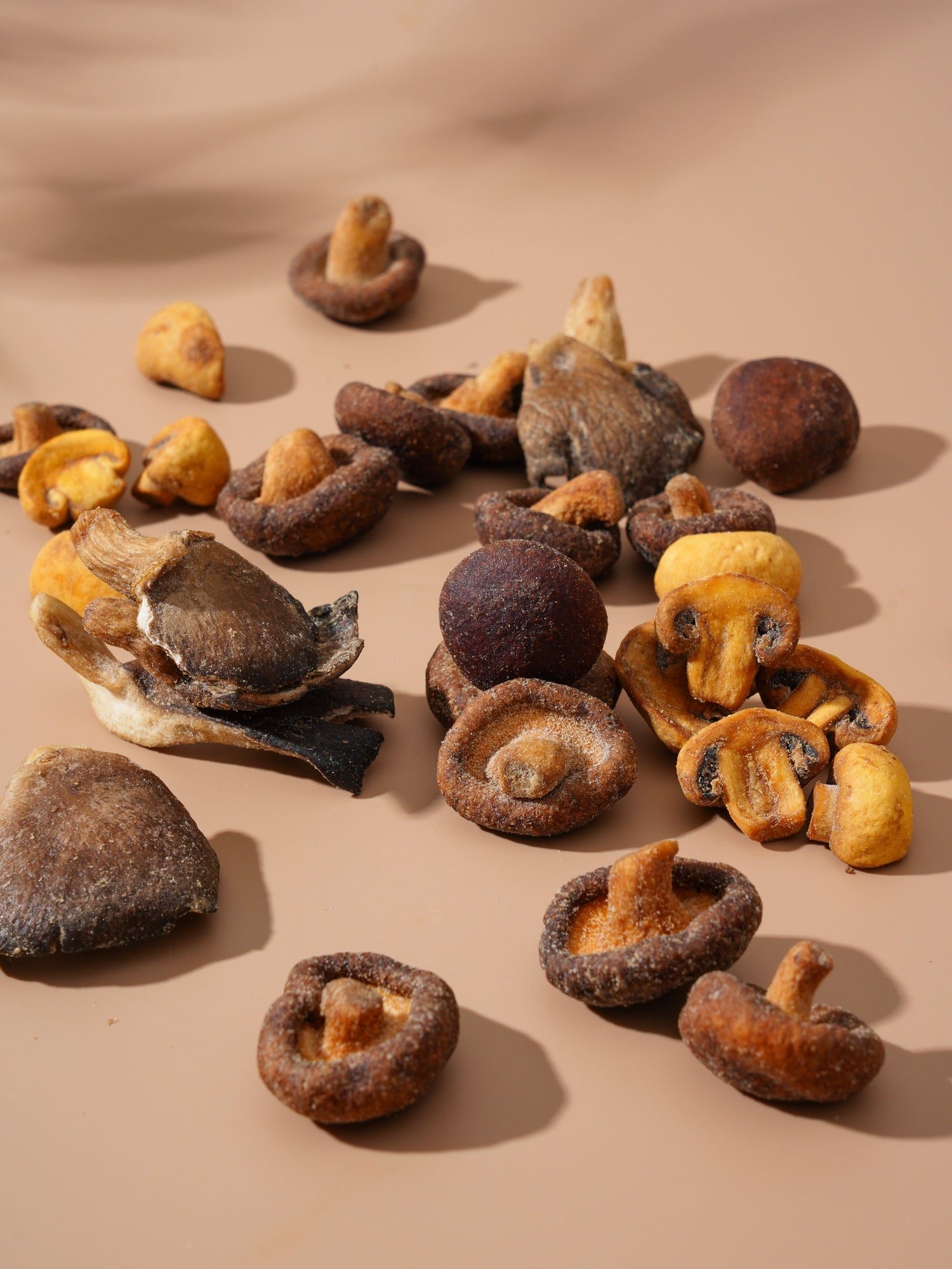 Shary Truffle Flavor Mixed Mushroom