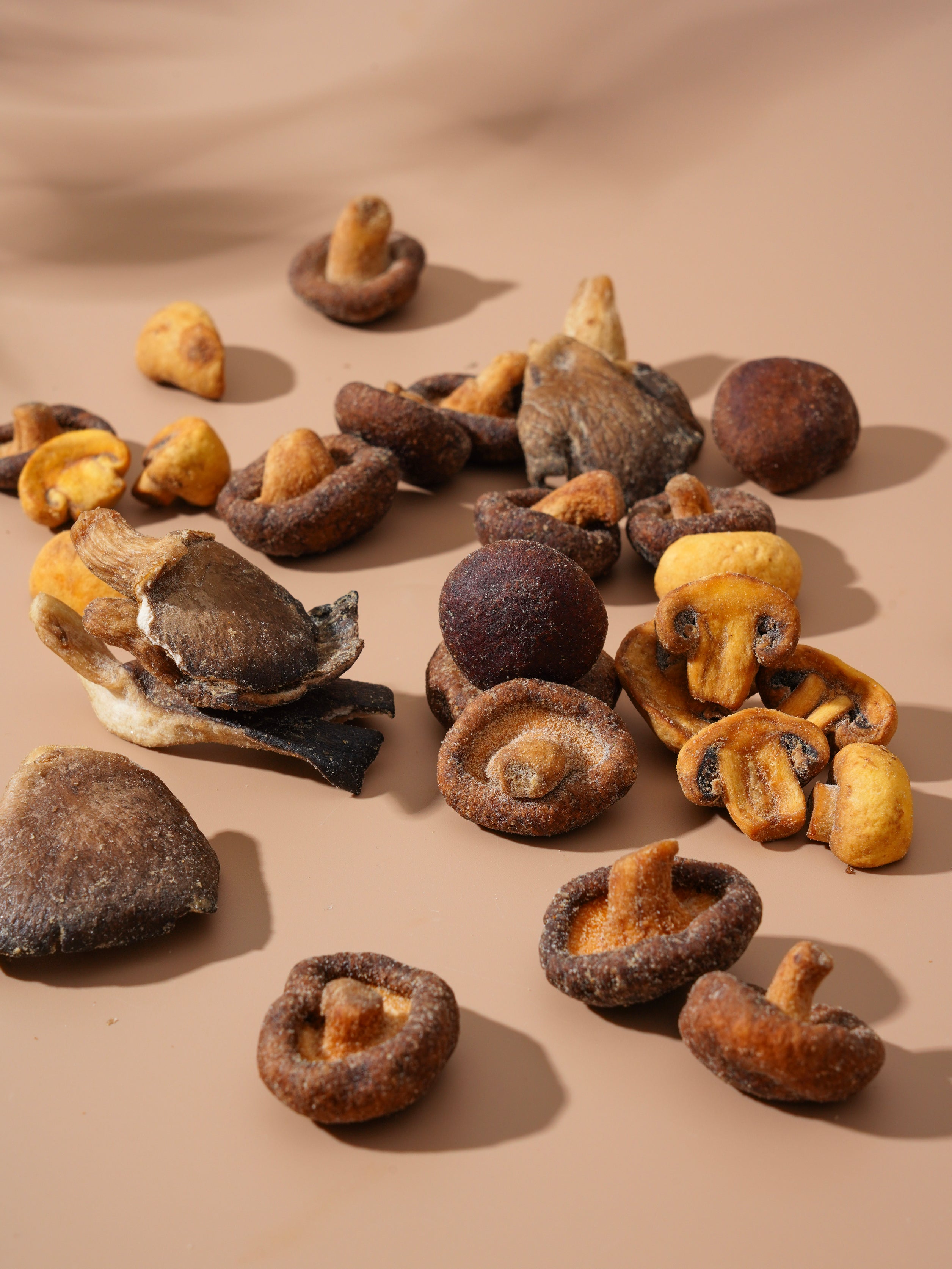 Shary Truffle Flavor Mixed Mushroom